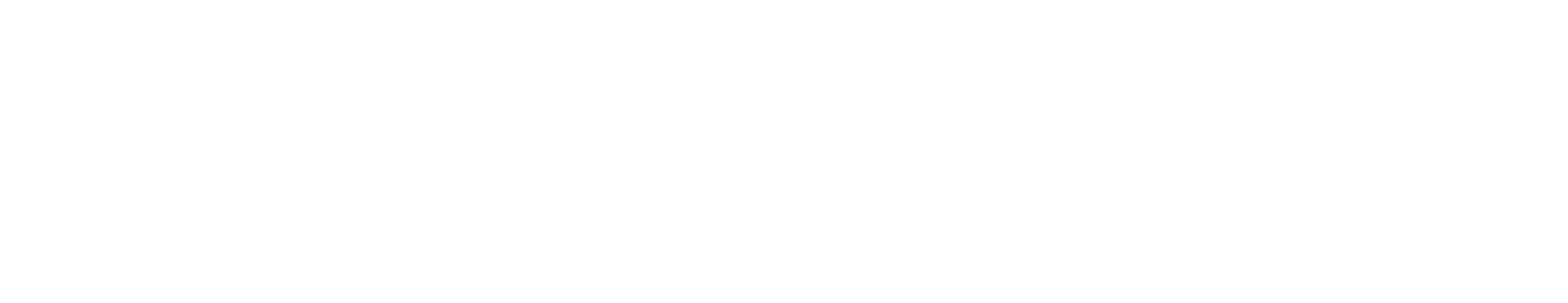 logo blanc helpmyvan