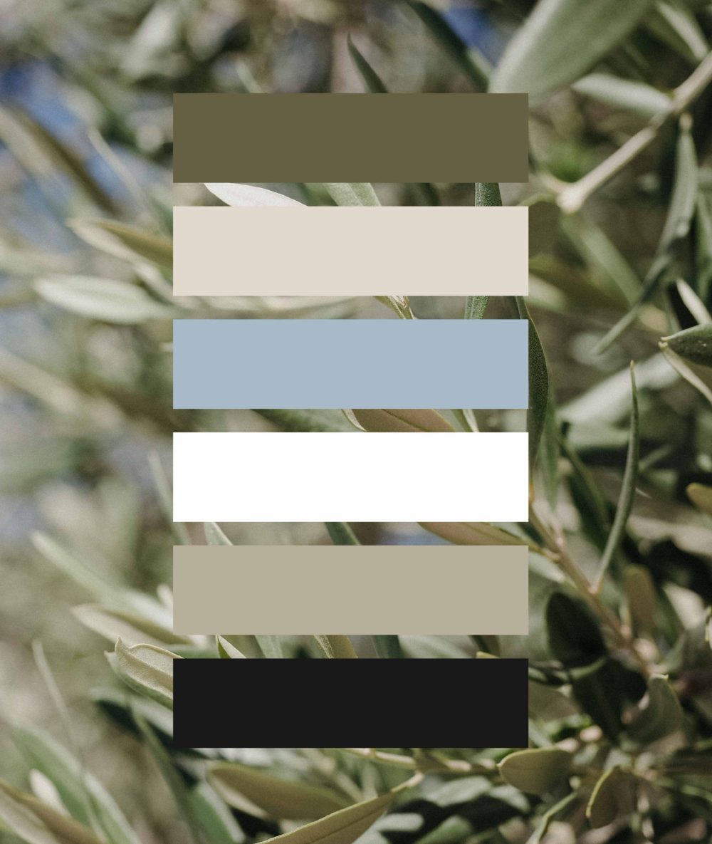 rebranding marque immobiliere provence